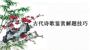 诗歌鉴赏意象意境分析总结.ppt