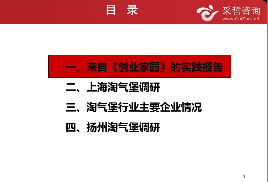 投资儿童乐园项目(室内)调研报告.ppt_第3页