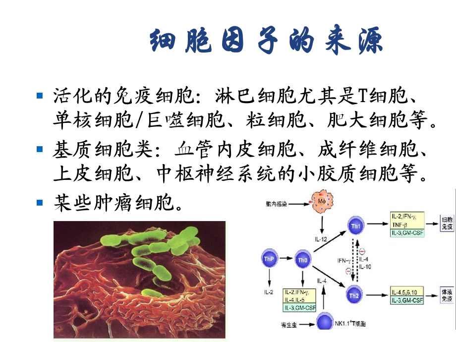 生物制药细胞因子.ppt_第3页