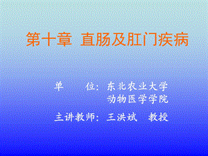 直肠及肛门疾病.ppt