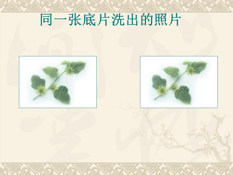 同一张底片洗出的照片.ppt_第2页