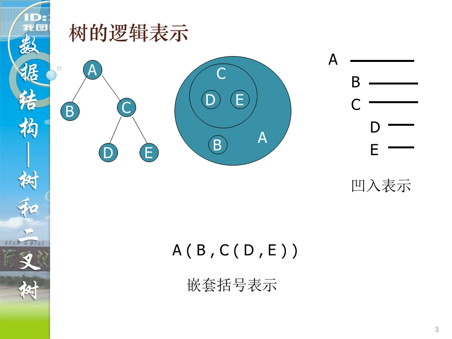 数据结构树.ppt_第3页