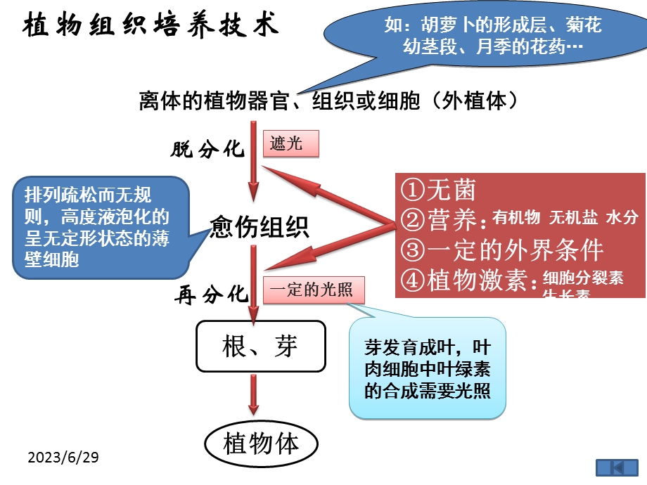 植物细胞工程的实际应用(上课用).ppt_第1页