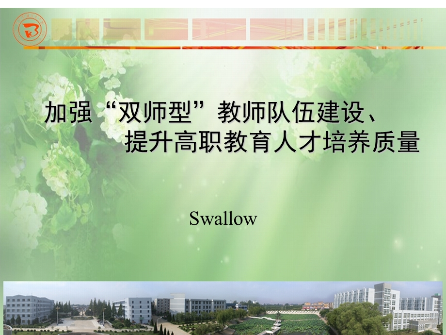 加强双师型教师队伍建设提升高职教育人才培养质量.ppt_第1页