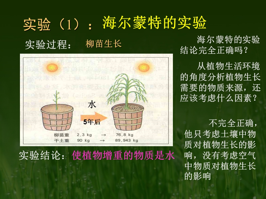 绿色植物光合作用1.ppt_第3页