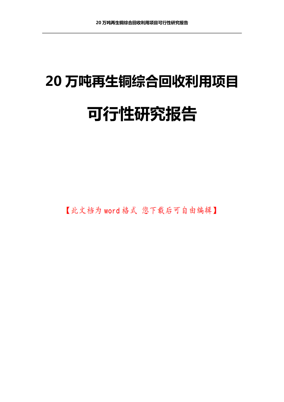 再生铜综合回收利用项目可行性研究报告.doc_第1页