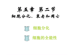 细胞分化和全能性(公开课).ppt