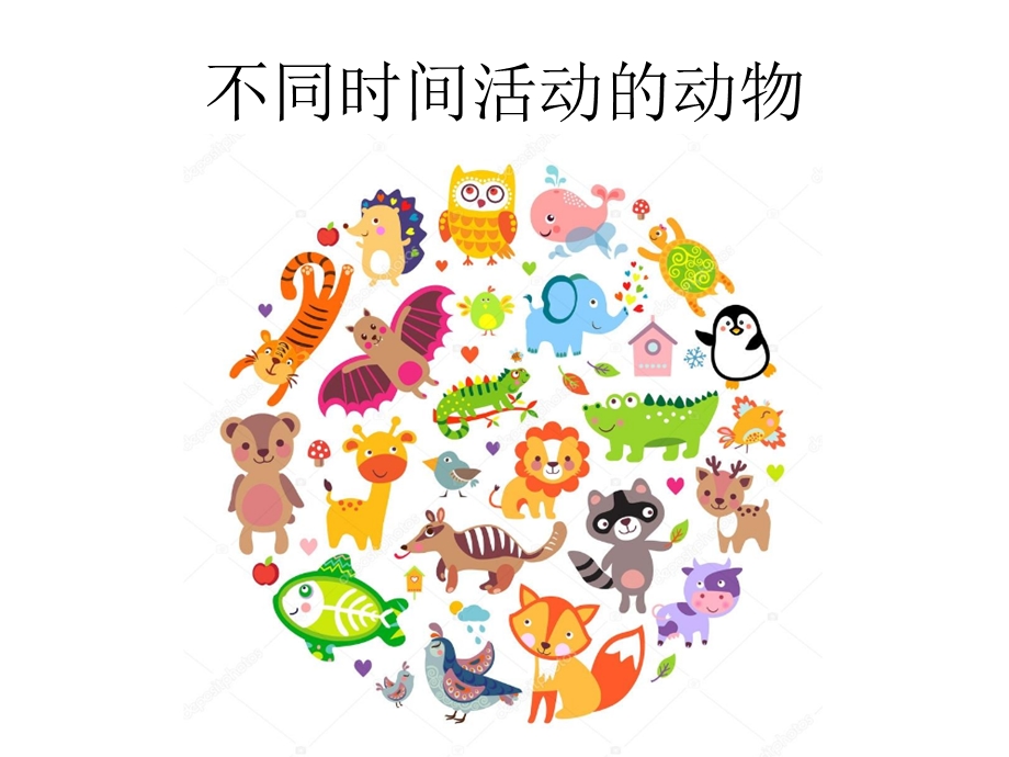 常见昆虫图片名称.ppt_第1页