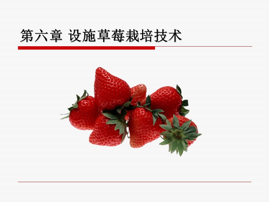 设施草莓栽培技术.ppt_第1页