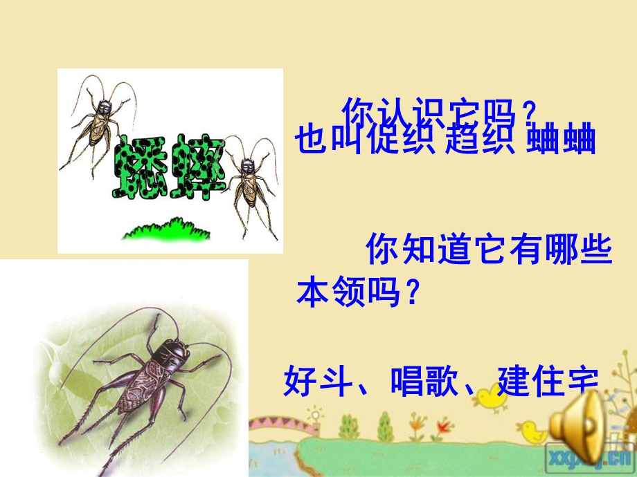 你认识它吗.ppt_第1页