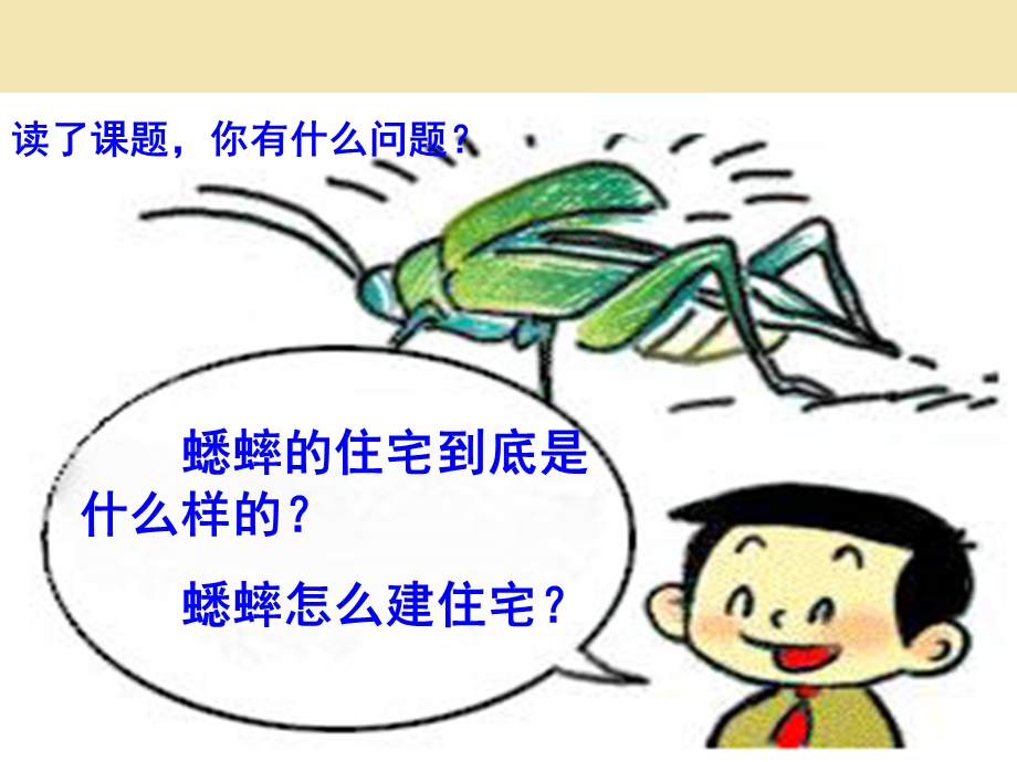 你认识它吗.ppt_第3页