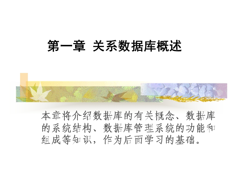 ch1关系数据库概述.ppt_第3页