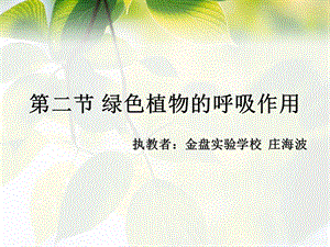 绿色植物的呼吸作用ppt.ppt