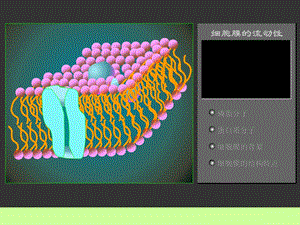 细胞膜的物质运输功能.ppt