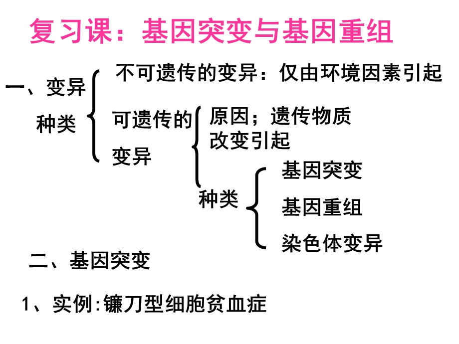 突变与重组复习.ppt_第1页