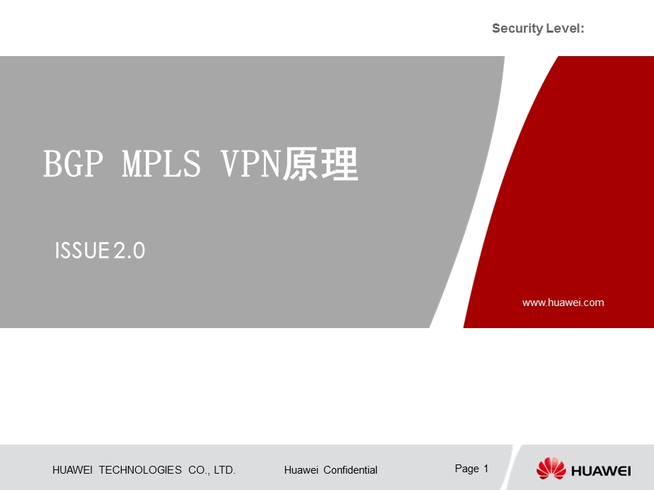 BGPMPLSVPN原理0603.ppt_第1页