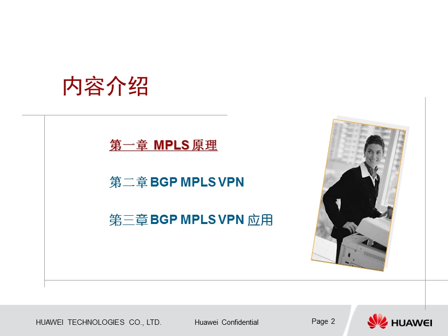 BGPMPLSVPN原理0603.ppt_第2页