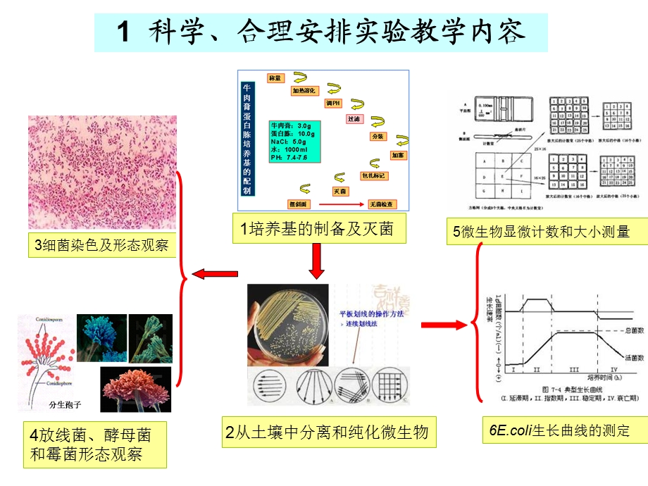 微生物学教学讨论.ppt_第2页