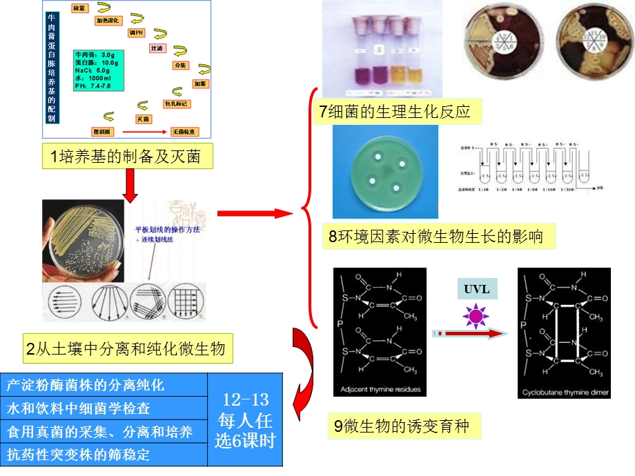 微生物学教学讨论.ppt_第3页