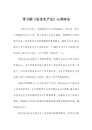 民航人学习新《安全生产法》心得感悟十篇.docx