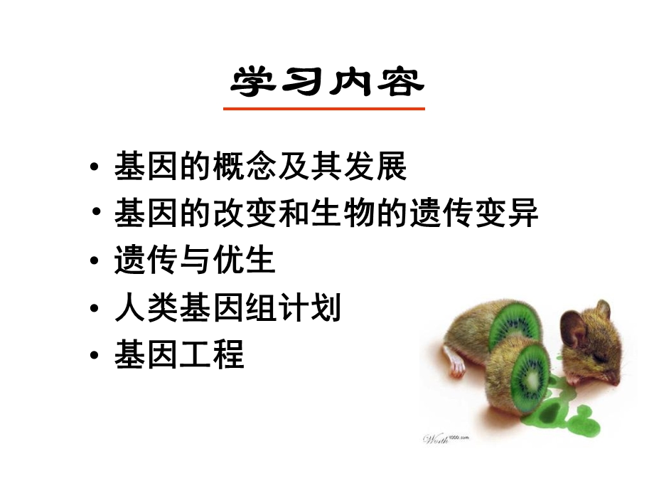 遗传与遗传工程.ppt_第2页