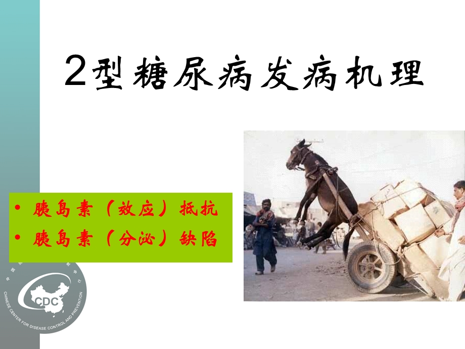 糖尿病的口服药物治疗.ppt_第3页