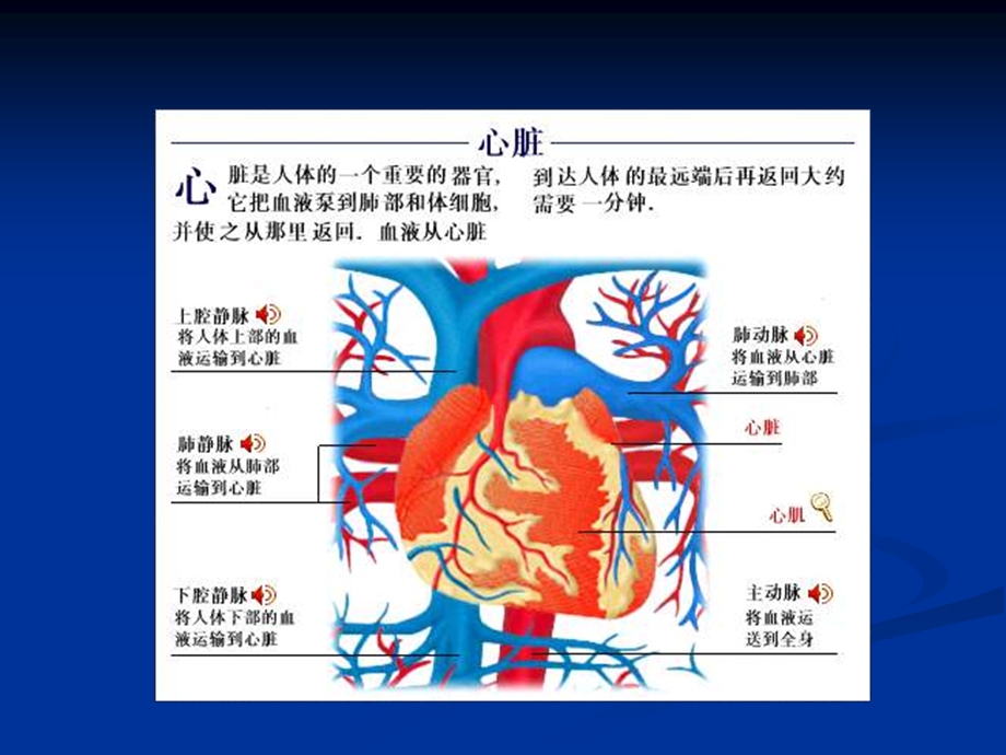 心力衰竭课件(内科学第八版).ppt_第2页