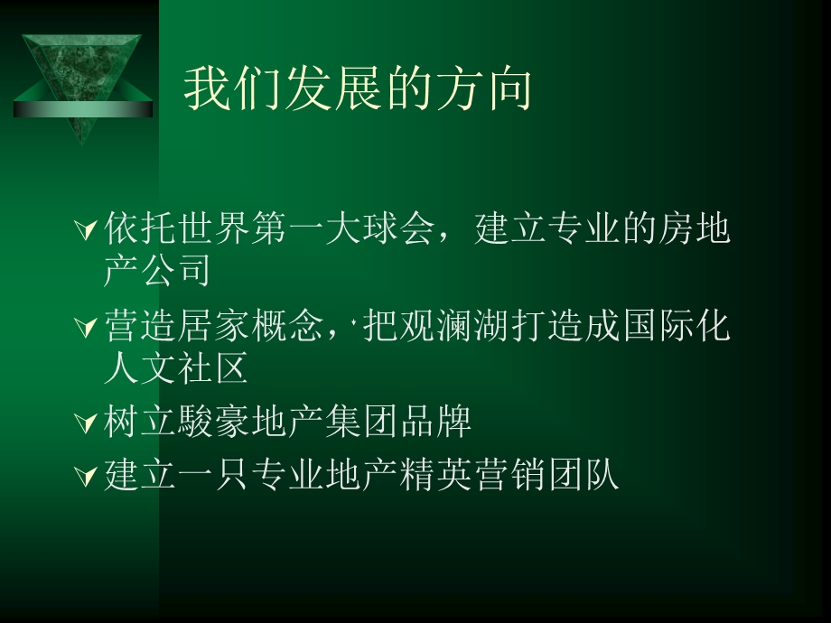 销售策划报告书.ppt_第3页