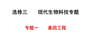 生物选修3基因工程知识点归纳(详实).ppt