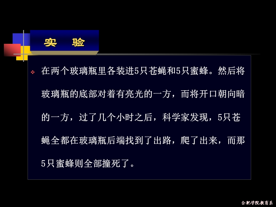 透视课堂教学反思.ppt_第2页