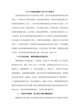 2023年机关事业单位纪检巡察组巡检工作心得体会 （汇编6份）.docx