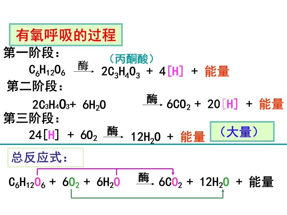 有氧呼吸过程演示集锦.ppt_第3页