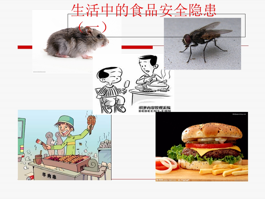 幼儿园食品安全.ppt_第3页