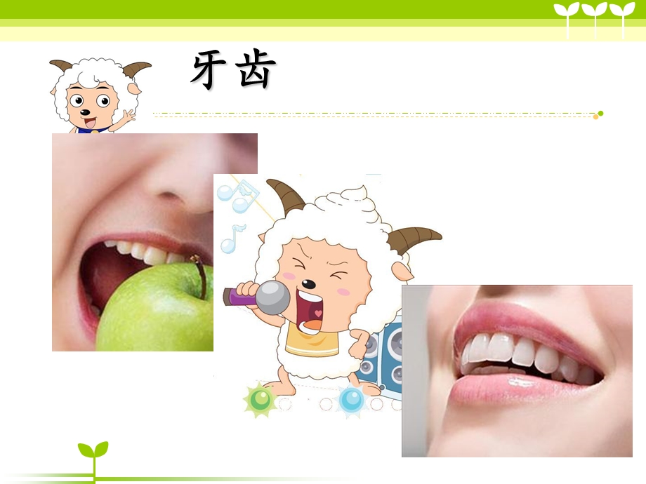 幼儿园健康知识讲座.ppt_第2页