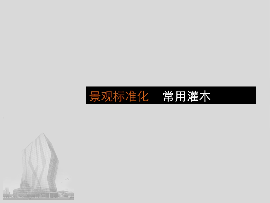 园林绿化常用灌木(图文并茂).ppt_第1页