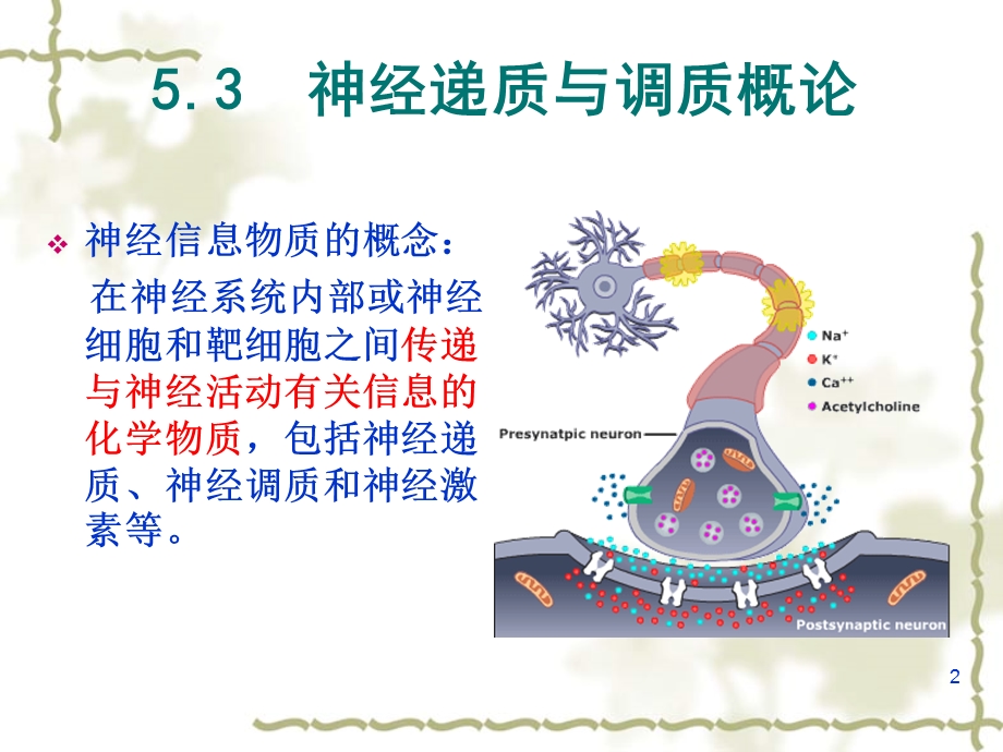 神经化学和神经药理学基础.ppt_第2页