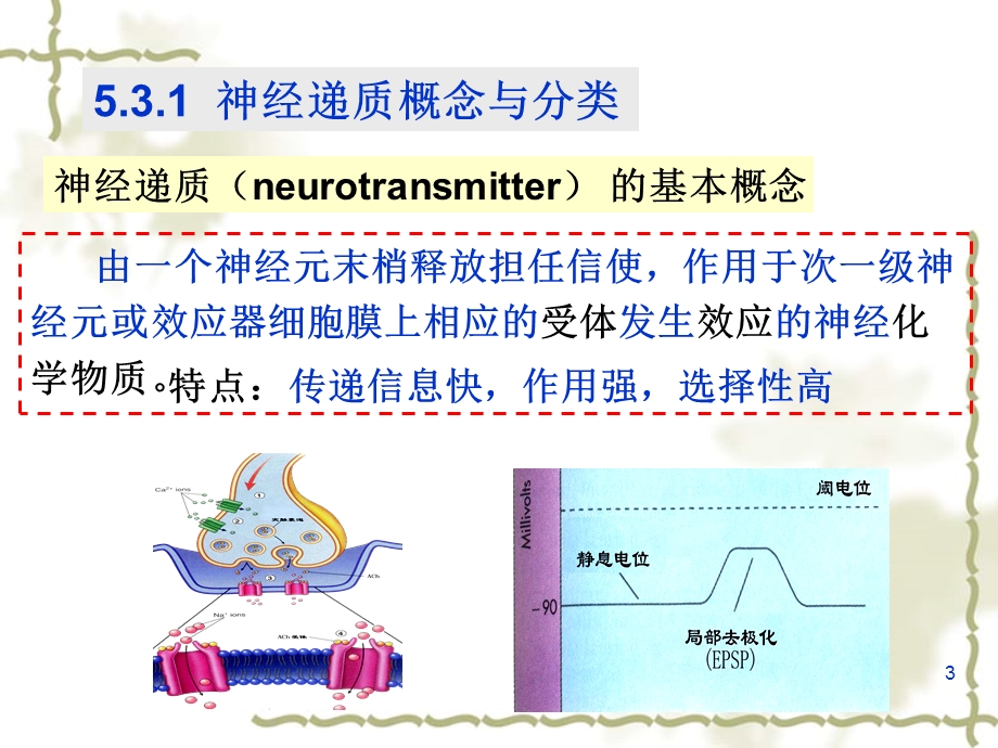 神经化学和神经药理学基础.ppt_第3页