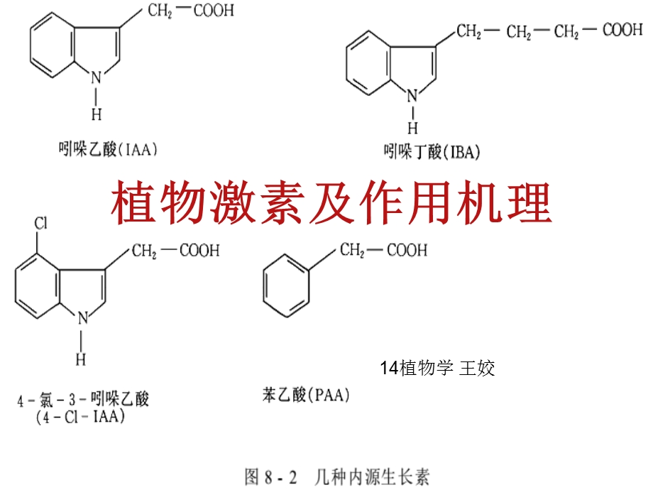 植物激素及其作用机理.ppt_第1页