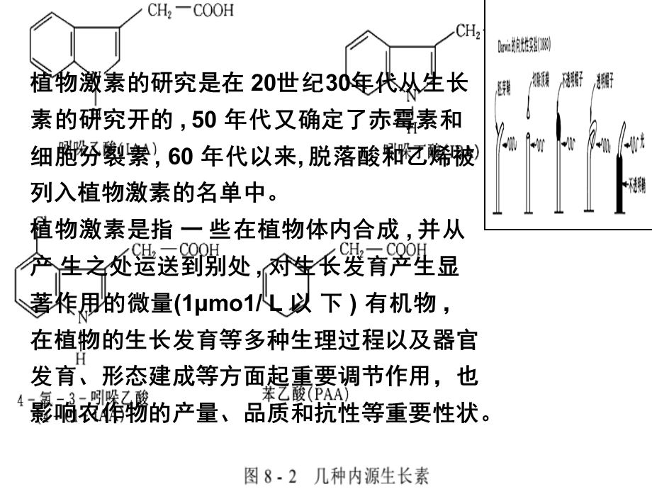 植物激素及其作用机理.ppt_第2页