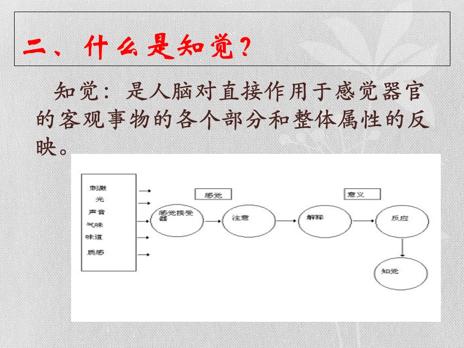 智力障碍儿童感知觉特点.ppt_第3页