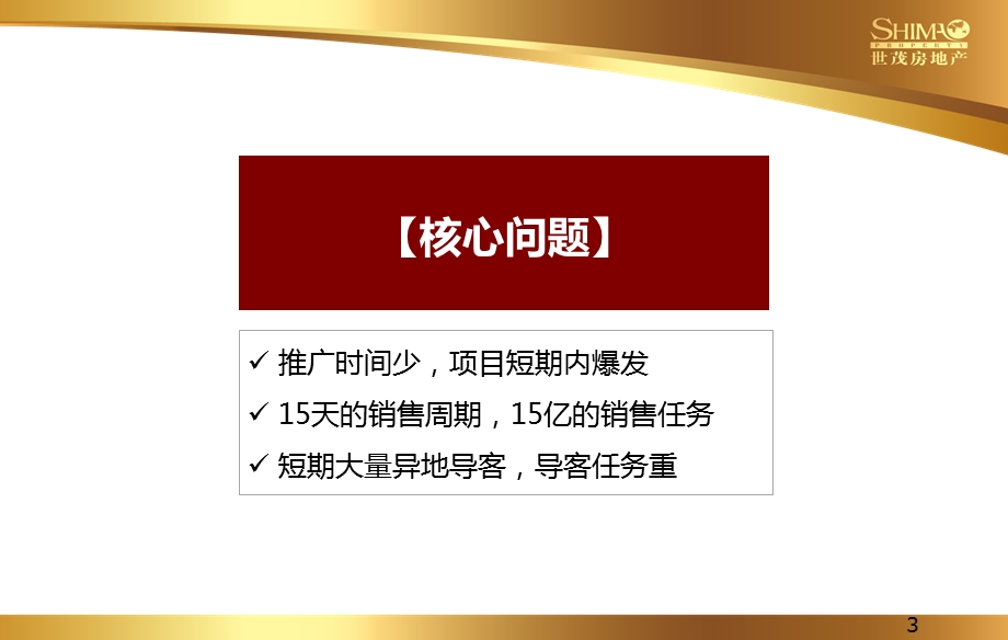 2013世茂怒放海营销执行报告53p.ppt_第3页