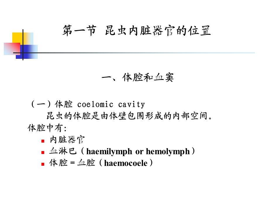 昆虫的内部器官.ppt_第2页