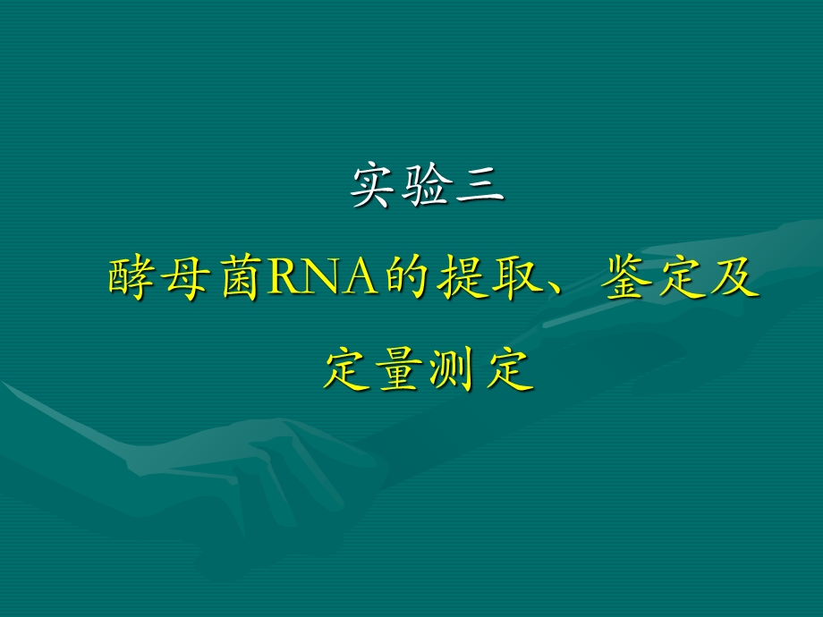 实验三酵母核糖核酸(RNA)的提取.ppt_第1页