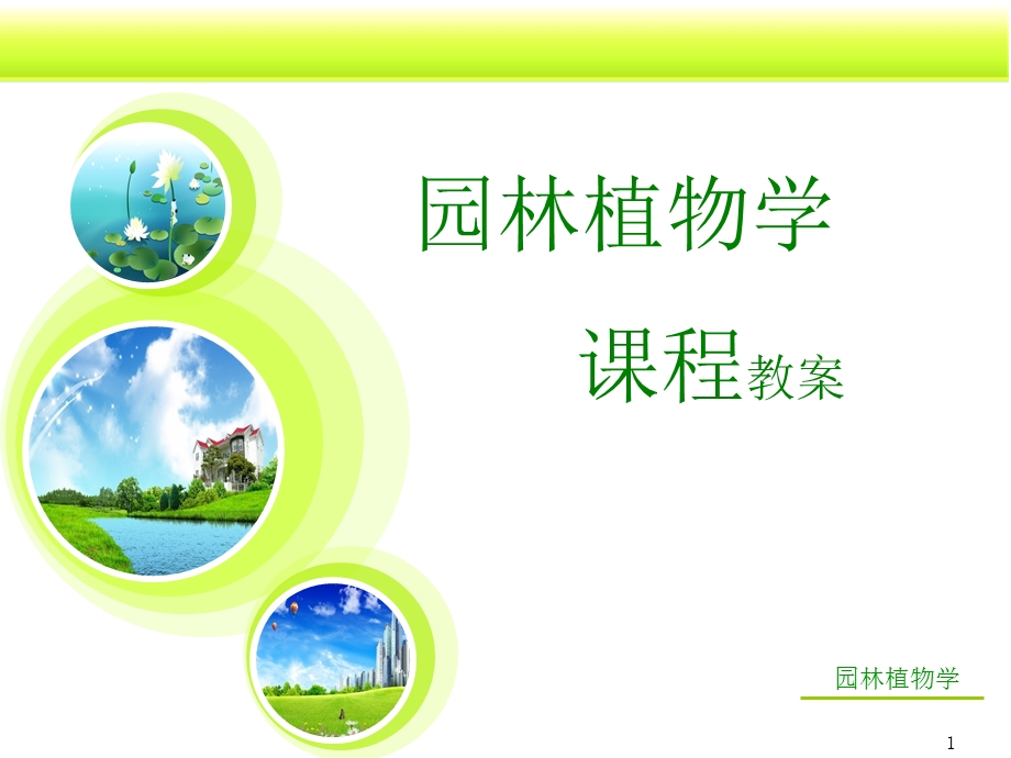 园林植物学概说.ppt_第1页