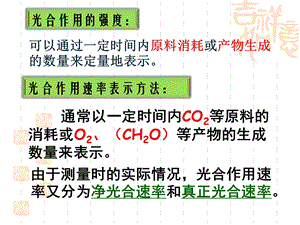 影响光合作用因素.ppt