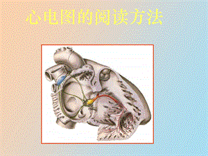 心电图的阅读方法.ppt