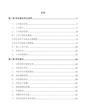 内江智能终端产品项目可行性研究报告.docx