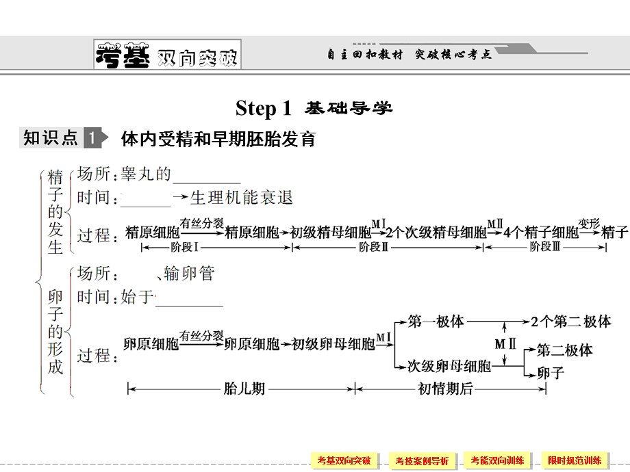 2013届精品复习课件胚胎工程.ppt_第2页