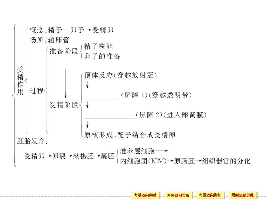 2013届精品复习课件胚胎工程.ppt_第3页