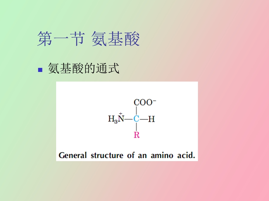 生物化学第二章蛋白质化学.ppt_第2页